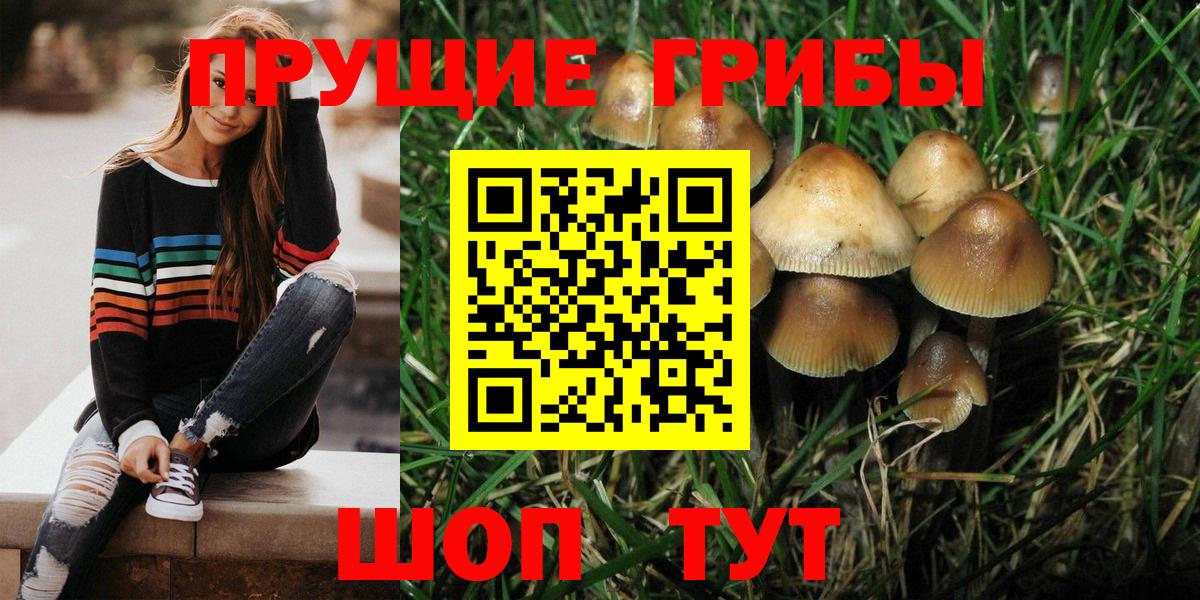 Галлюциногенные грибы прущие грибы  наркота  Донской  Вход с VPN  Псилоцибиновые грибы Magic Shrooms 