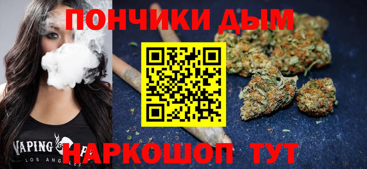 Бошки Шишки SATIVA & INDICA  Шишки марихуана план  Донской  Каннабис Ganja  Вход с VPN 